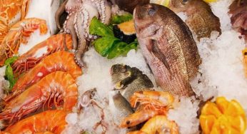 Top Seafood Consumer Trends in 2024: A Shift Towards Sustainability and Innovation
