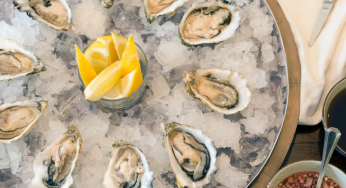How to Eat Oysters Like a Pro—A Guide for First-Timers!