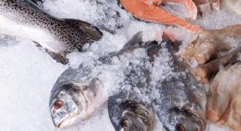 Fresh or Frozen? Understanding the Nutritional Benefits of Both Seafood Types