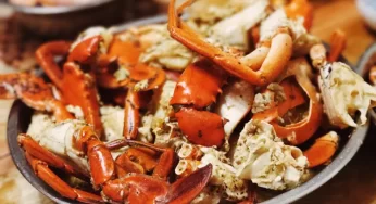 The Best Ways to Prepare Crab for Delicious Dishes