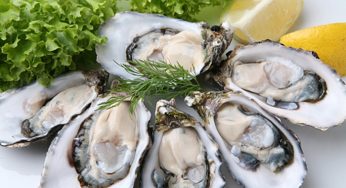 The Nutrient Boost: How Seafood Supports Your Health