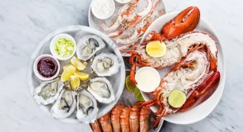 Top Seafood Varieties to Try for a Healthy Diet