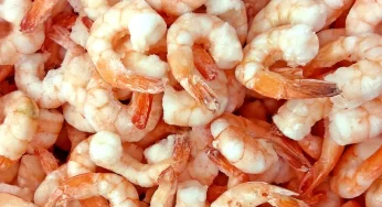 Why Shrimp Is a Healthy Seafood Choice for Your Diet