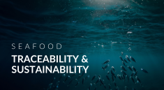 Seafood Traceability