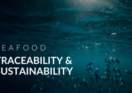 Seafood Traceability