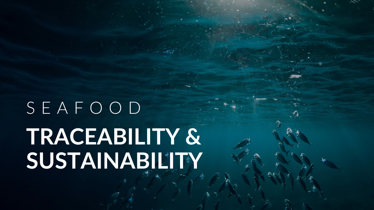 Seafood Traceability