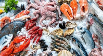 The Risks of Mercury in Seafood: What You Should Know