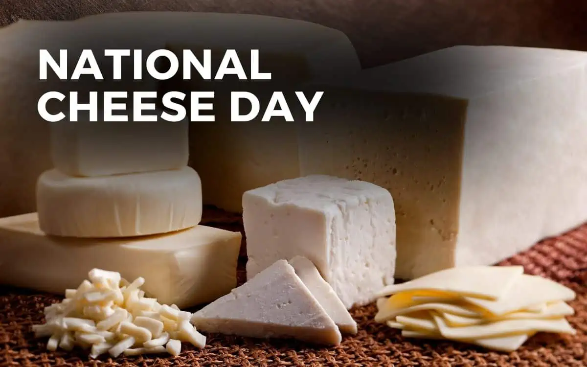 Celebrate National Cheese Day