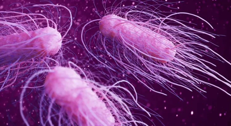 Salmonella Scare