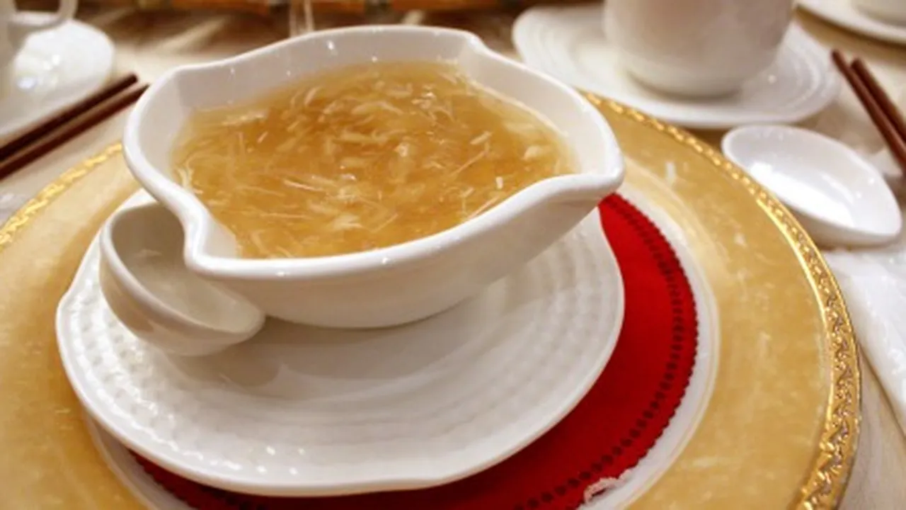 Shark Fin Soup