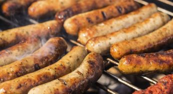 Ancient Necessity or Modern Delight? The Shocking Evolution of Sausage Through the Ages!