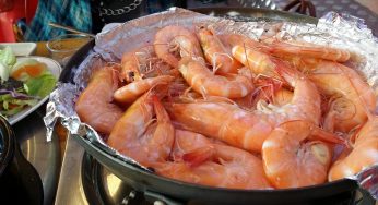 Radioactive Shrimp Alert! FDA Issues Massive Recall Across 31 States, Are You at Risk?