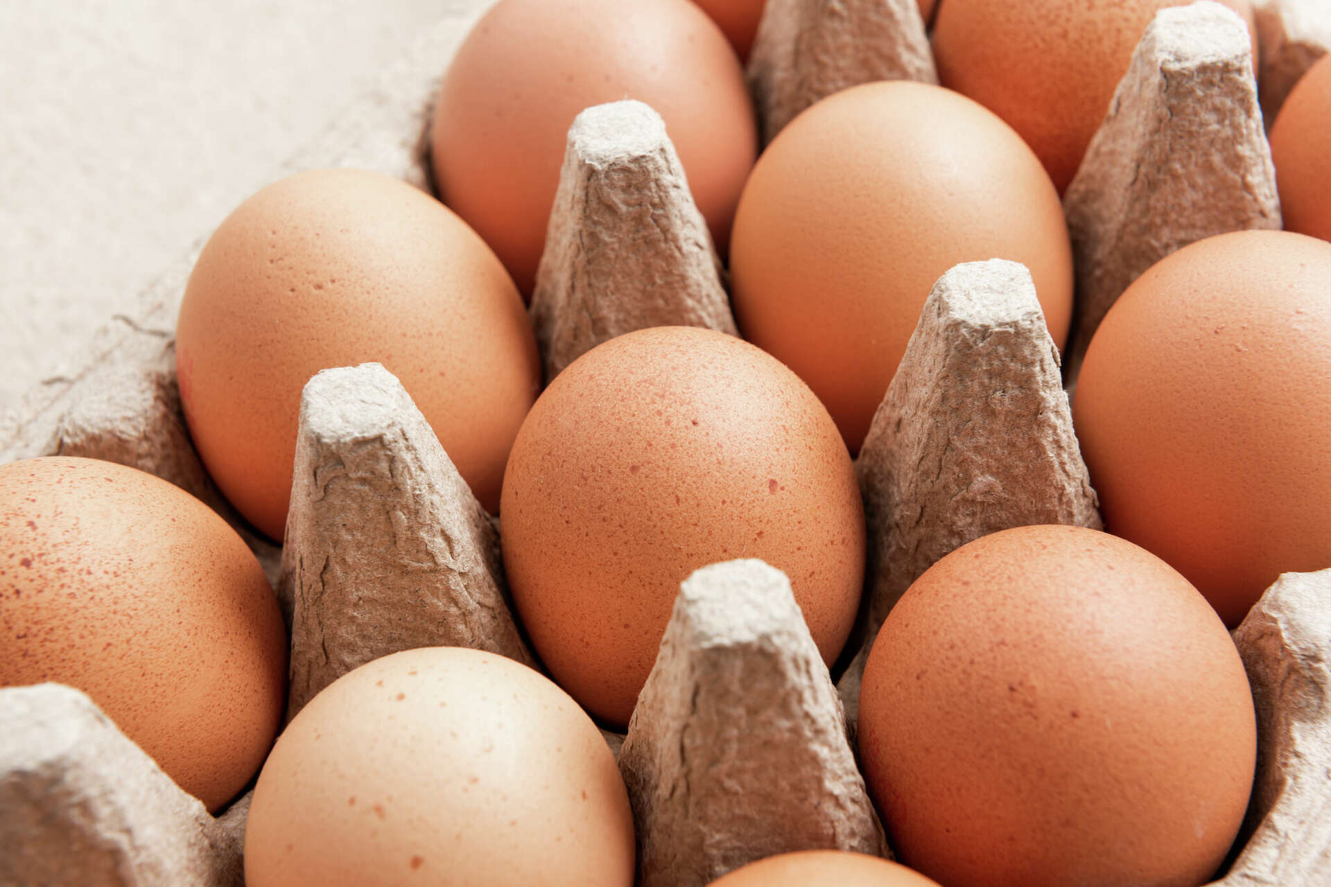 Egg Recall