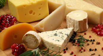 From Gold Leaves to Rare Milk: 5 Most Expensive Cheeses You Must Know!