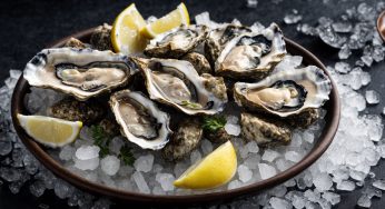 Oyster Myth Buster: Fakta tentang Cara Makan, Cara Simpan, dan “Kapan Harus Skip”